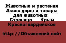 Животные и растения Аксесcуары и товары для животных - Страница 2 . Крым,Красногвардейское